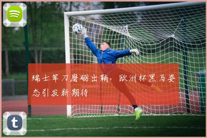 瑞士军刀磨砺出鞘，欧洲杯黑马姿态引发新期待