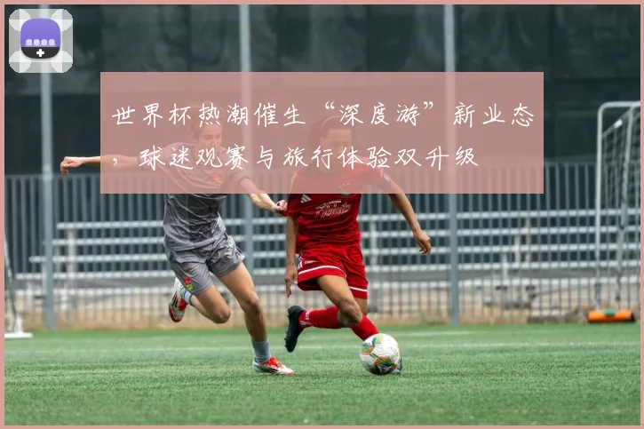 世界杯热潮催生“深度游”新业态，球迷观赛与旅行体验双升级