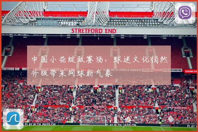 中国小花绽放赛场，球迷文化悄然升级带来网球新气象