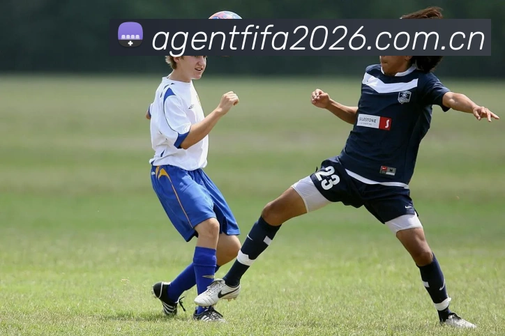 2026世界杯 多终端观赛